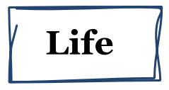 Life  